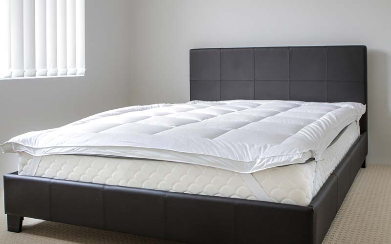 Area Rug Cleaning staten island City, Area Rug Cleaning si, Carpet Cleaning staten island City, Carpet Cleaning si, si carpet cleaning, si carpet cleaners, staten island carpet cleaning, staten island carpet cleaners, staten island carpet cleaning services, rug cleaning, rug cleaners, si rug cleaning, si rug cleaners, rug cleaning in si, rug cleaners in si, commercial carpet cleaning, commercial carpet cleaning in si, si commercial carpet cleaning, upholstery cleaning, upholstery cleaning si, upholstery cleaners in si, si upholstery cleaning, si upholstery cleaners, bed bug treatment, bed bug treatment si, si bed bug treatment, stain removal, stain removal si, si stain removal