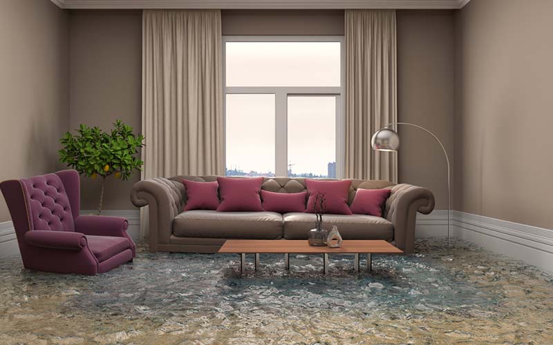 Area Rug Cleaning staten island City, Area Rug Cleaning si, Carpet Cleaning staten island City, Carpet Cleaning si, si carpet cleaning, si carpet cleaners, staten island carpet cleaning, staten island carpet cleaners, staten island carpet cleaning services, rug cleaning, rug cleaners, si rug cleaning, si rug cleaners, rug cleaning in si, rug cleaners in si, commercial carpet cleaning, commercial carpet cleaning in si, si commercial carpet cleaning, upholstery cleaning, upholstery cleaning si, upholstery cleaners in si, si upholstery cleaning, si upholstery cleaners, bed bug treatment, bed bug treatment si, si bed bug treatment, stain removal, stain removal si, si stain removal