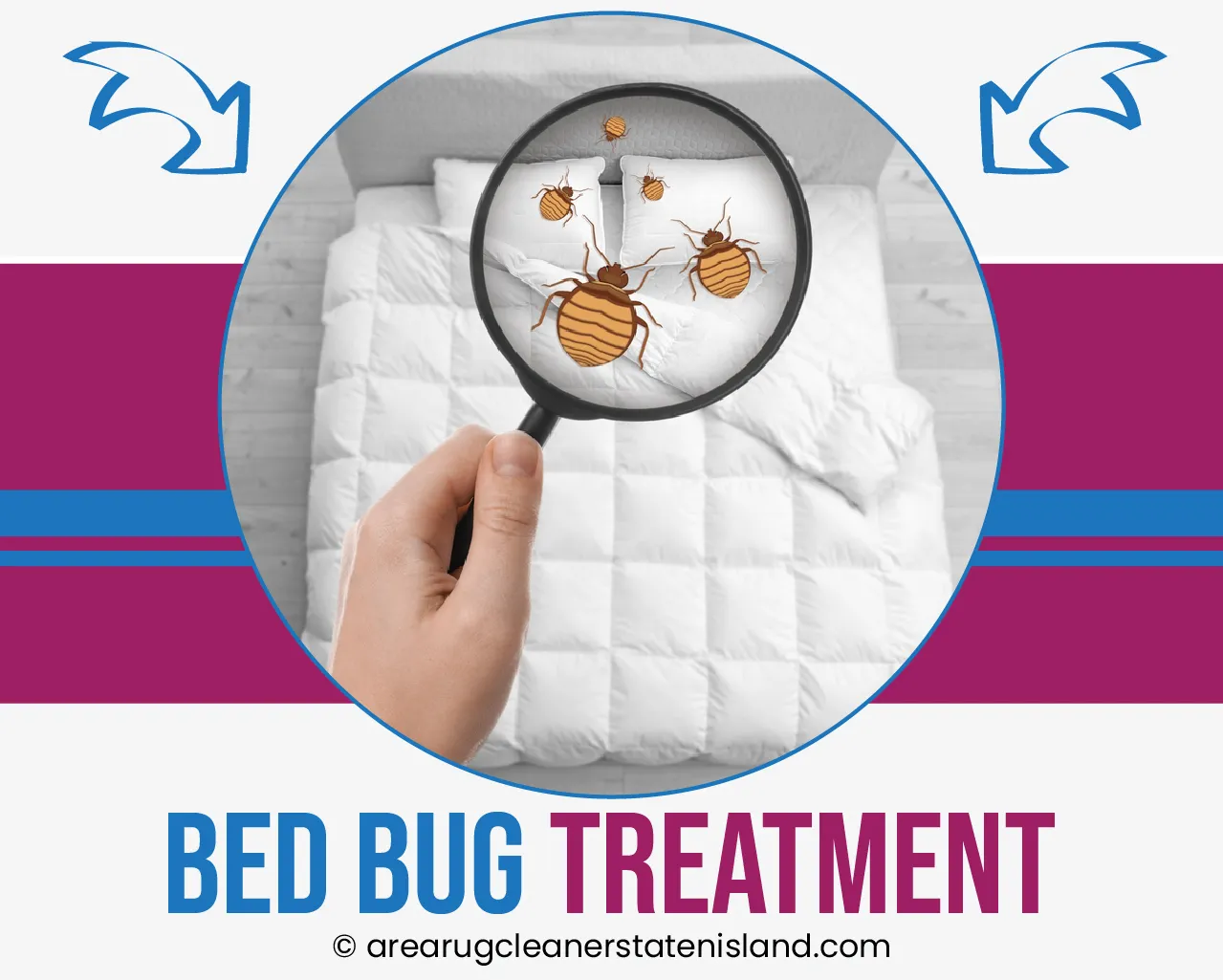 Area Rug Cleaning staten island City, Area Rug Cleaning si, Carpet Cleaning staten island City, Carpet Cleaning si, si carpet cleaning, si carpet cleaners, staten island carpet cleaning, staten island carpet cleaners, staten island carpet cleaning services, rug cleaning, rug cleaners, si rug cleaning, si rug cleaners, rug cleaning in si, rug cleaners in si, commercial carpet cleaning, commercial carpet cleaning in si, si commercial carpet cleaning, upholstery cleaning, upholstery cleaning si, upholstery cleaners in si, si upholstery cleaning, si upholstery cleaners, bed bug treatment, bed bug treatment si, si bed bug treatment, stain removal, stain removal si, si stain removal